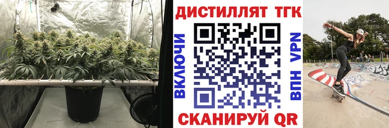 ТГК концентрат дарнет шоп Мостовской