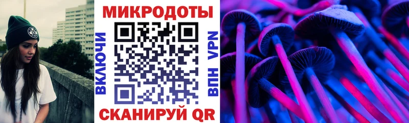 Галлюциногенные грибы Psilocybe  Мостовской 